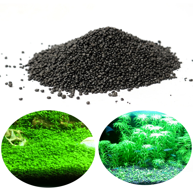 Aquarium Plant Seeds - Nước Hồ Cỏ Bùn Khoáng Vật