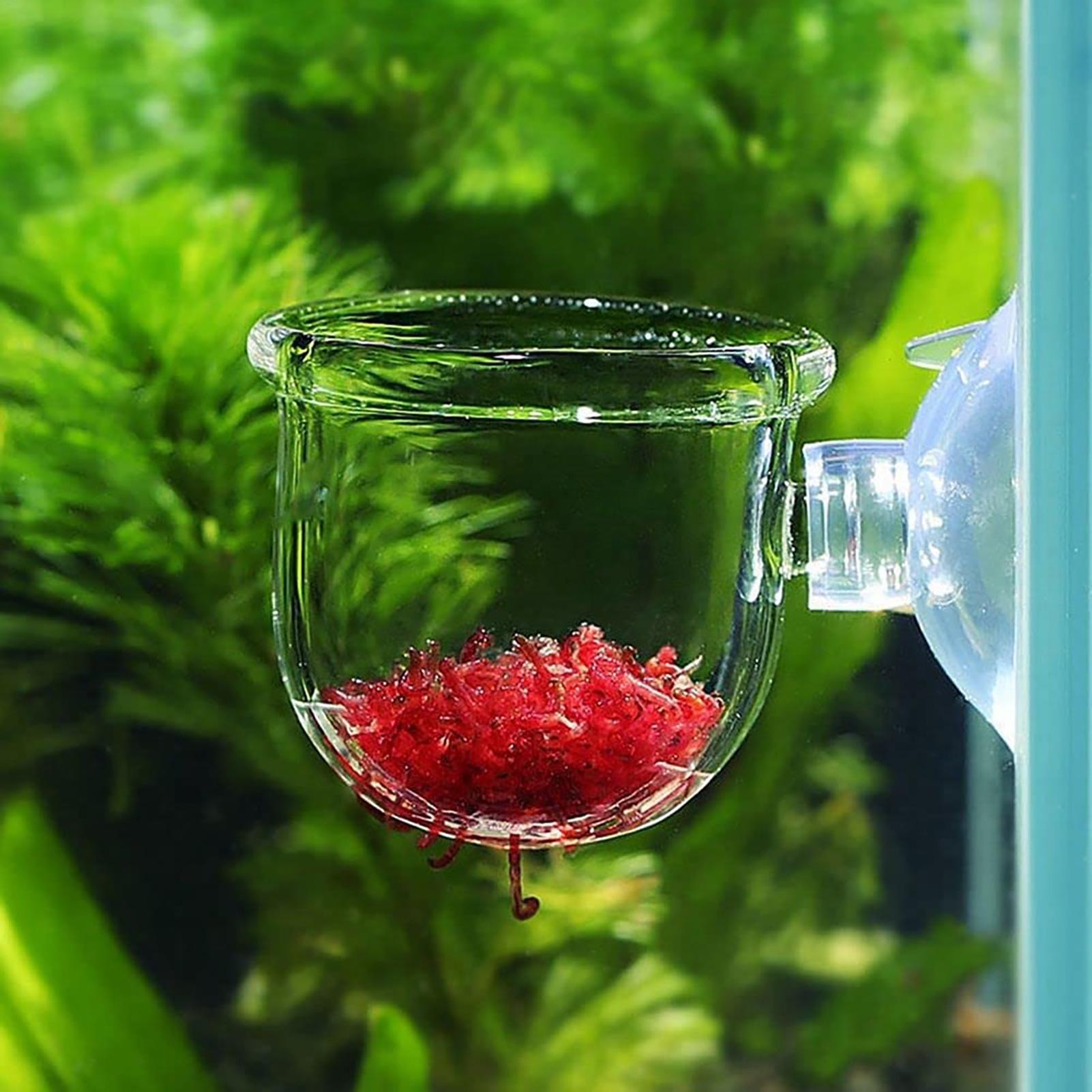 Aquarium Plant Seeds - Aquarium Plant Pot Glass Cylinder Cup