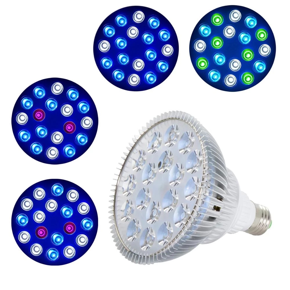 Aquarium Plant Seeds - E27 LED Cây Phát Triển Bóng