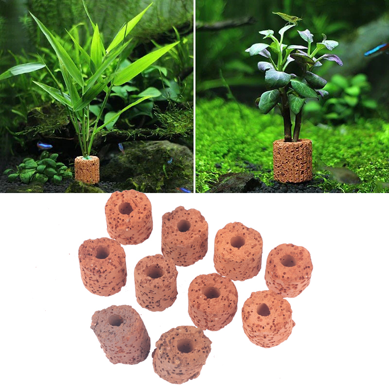 Aquarium Planted Set Up - 10Pcs Mini Aquatic Plant Ring Bio