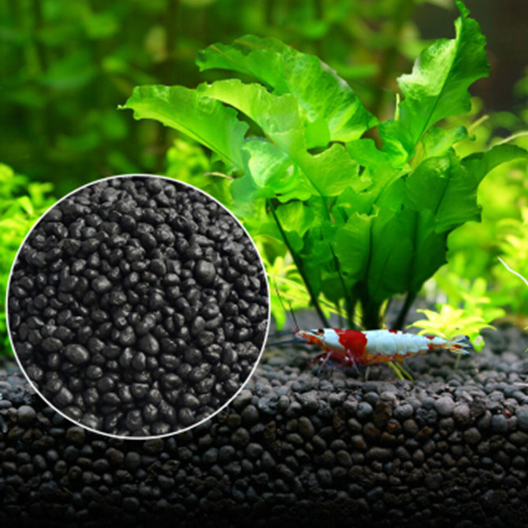 Aquarium Plant Fertilizer - Bể Cá Cảnh Vật Có Hạt