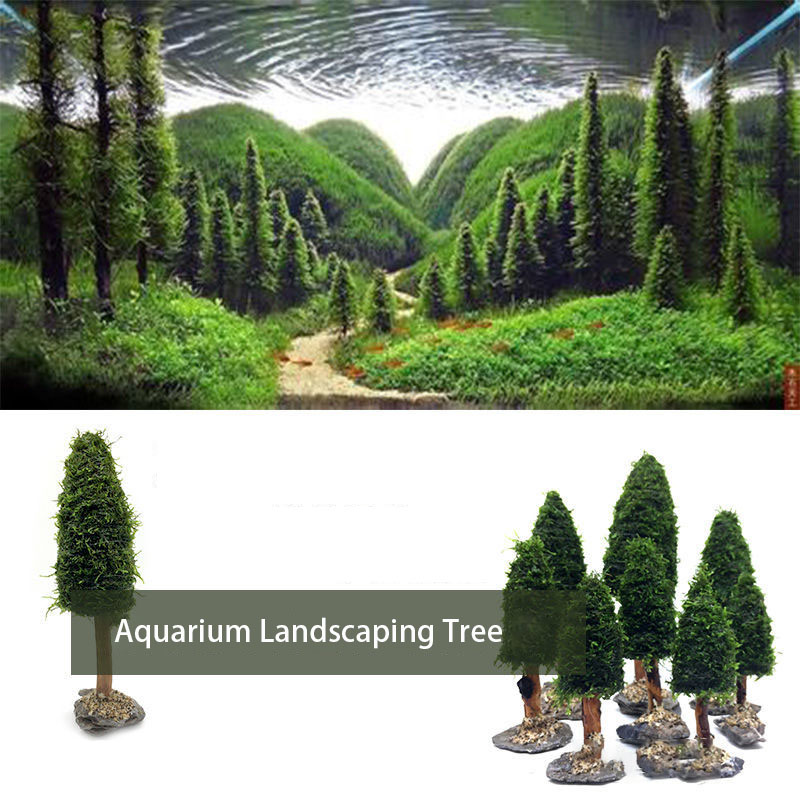 Aquarium Plant Seeds - Trang Trí Bể Cá Thực Vật