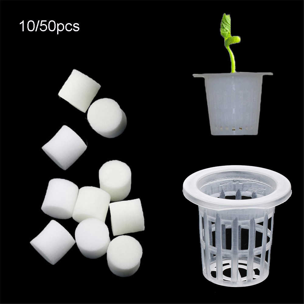 Aquarium Plant Seeds - 10/50pcs Durable Planting Aquarium Soilless Hydroponic