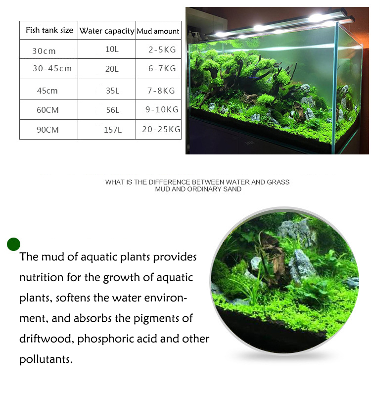 Nước Hồ Cỏ Bùn Khoáng Vật Có H - đánh giá và giá Aquarium Plant Seeds