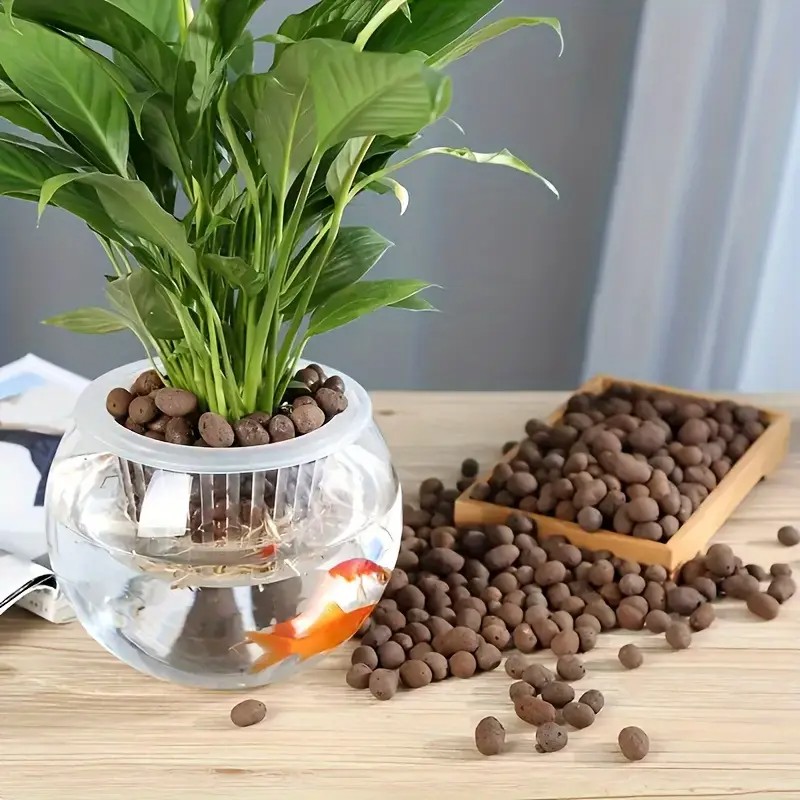 Lightweight & Breathable Terra - đánh giá và giá Aquarium Plant Original