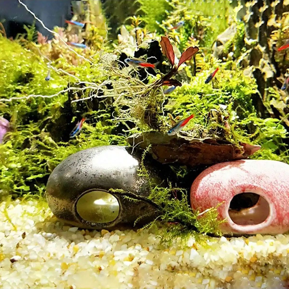 1pc-250g Natural Crystals Grav - đánh giá và giá Aquarium Planted Sand