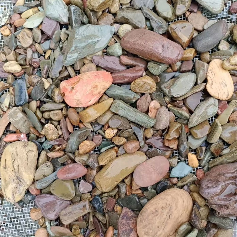 500g Fish Tank Bottom Sand Sto - đánh giá và giá Aquarium Planted Sand