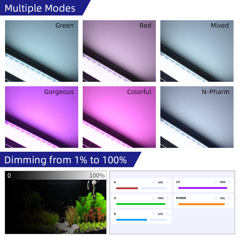 Week Aqua A430Pro LED Aquarium - đánh giá và giá Planted Aquarium Aquascape