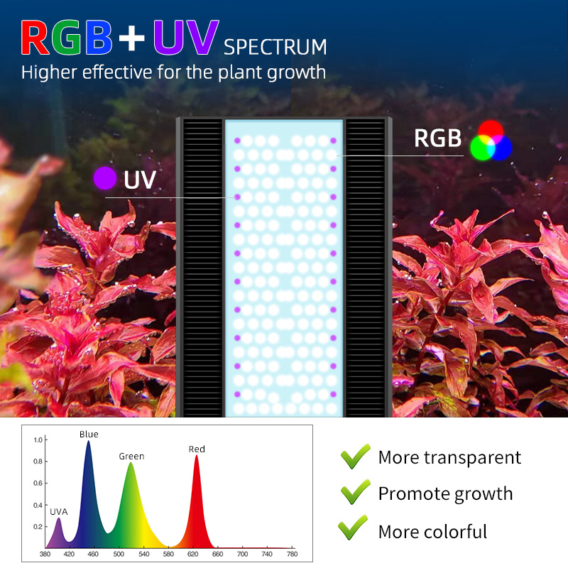 Week Aqua A430Pro LED Aquarium - đánh giá và giá Planted Aquarium Aquascape