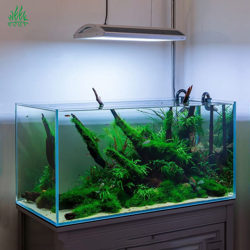 Week Aqua A430Pro LED Aquarium - đánh giá và giá Planted Aquarium Aquascape