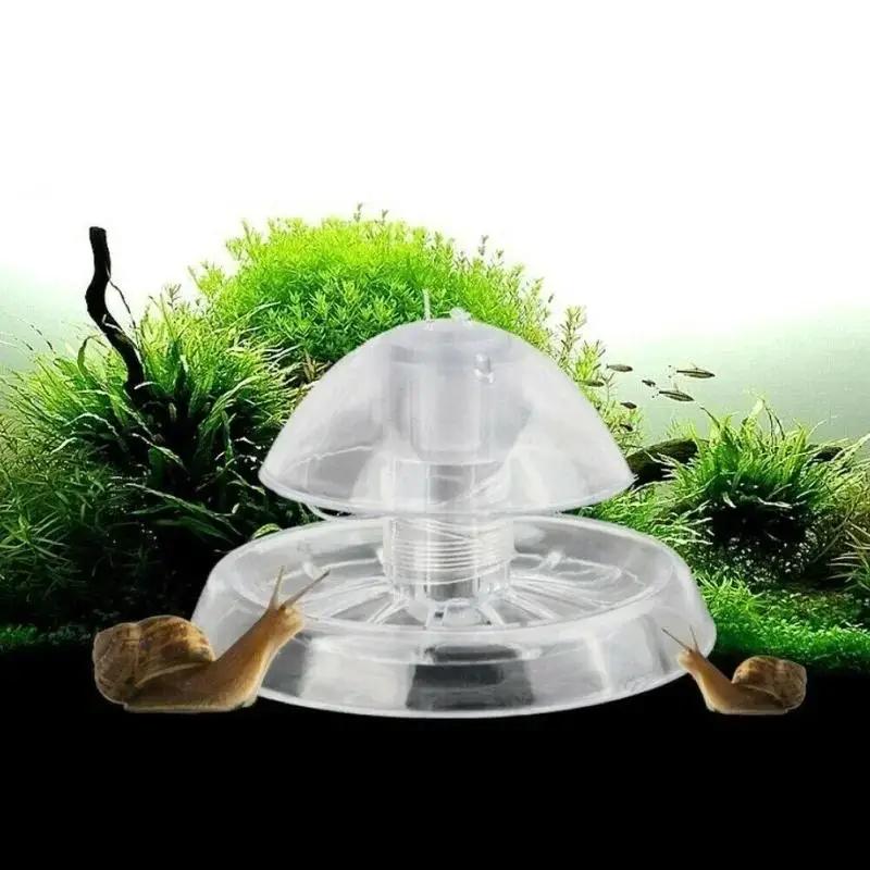 2026 New 6/8CM Clear Plastic S - đánh giá và giá Aquarium Plant Original