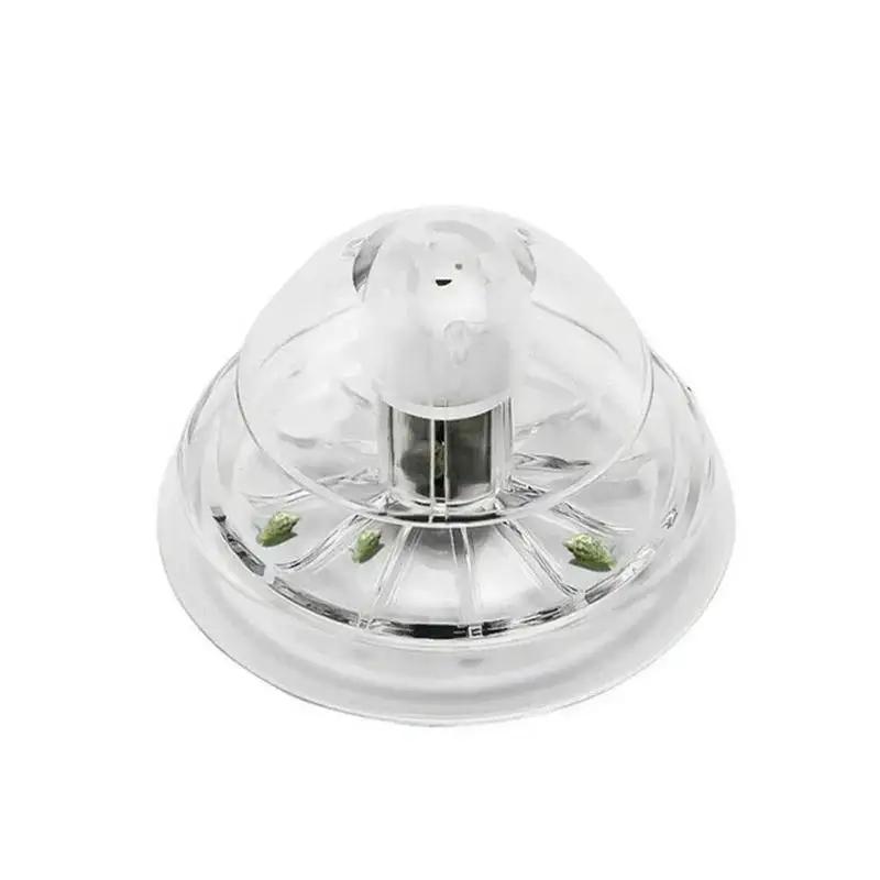 2026 New 6/8CM Clear Plastic S - đánh giá và giá Aquarium Plant Original