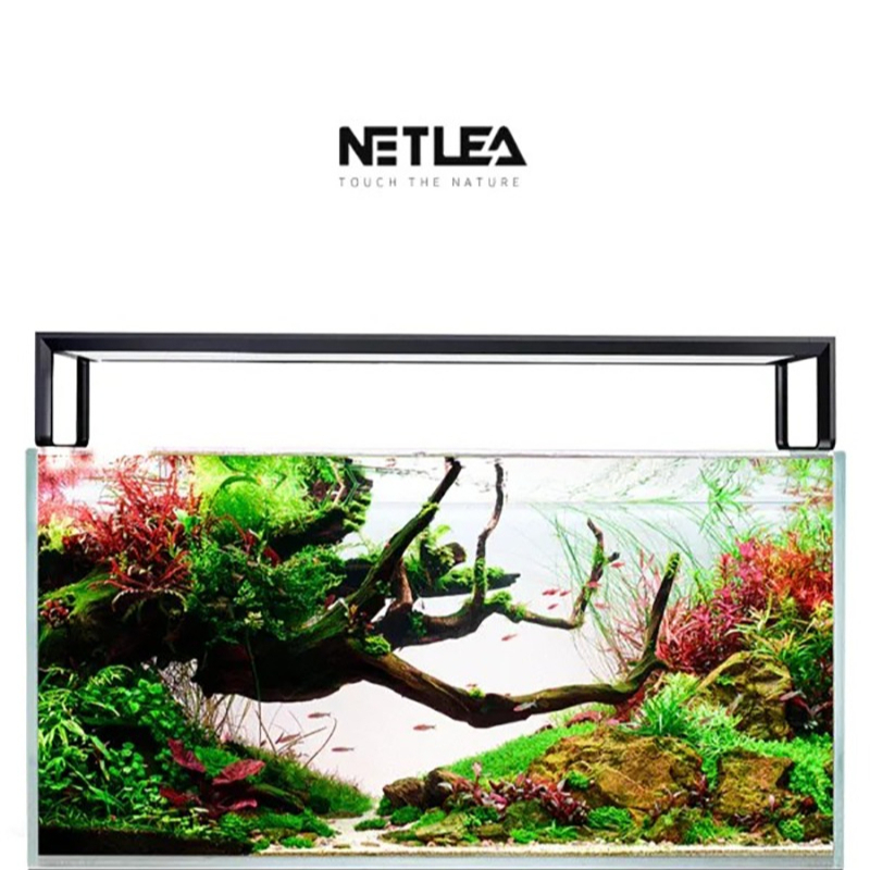 Netlea AT5S V3 Smart Wifi APP  - đánh giá và giá Planted Aquarium Aquascape