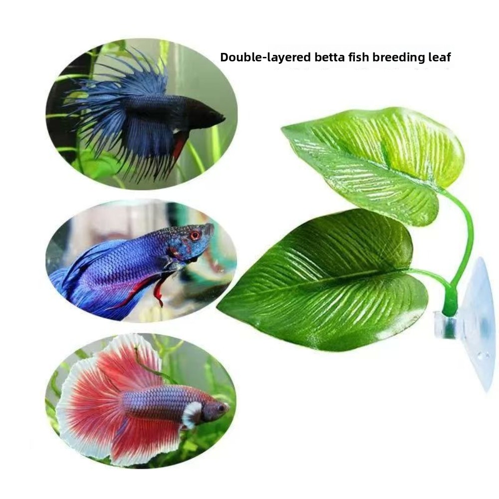 1/3/5/10 Betta Aquarium Artifi - đánh giá và giá Aquarium Planted Set Up