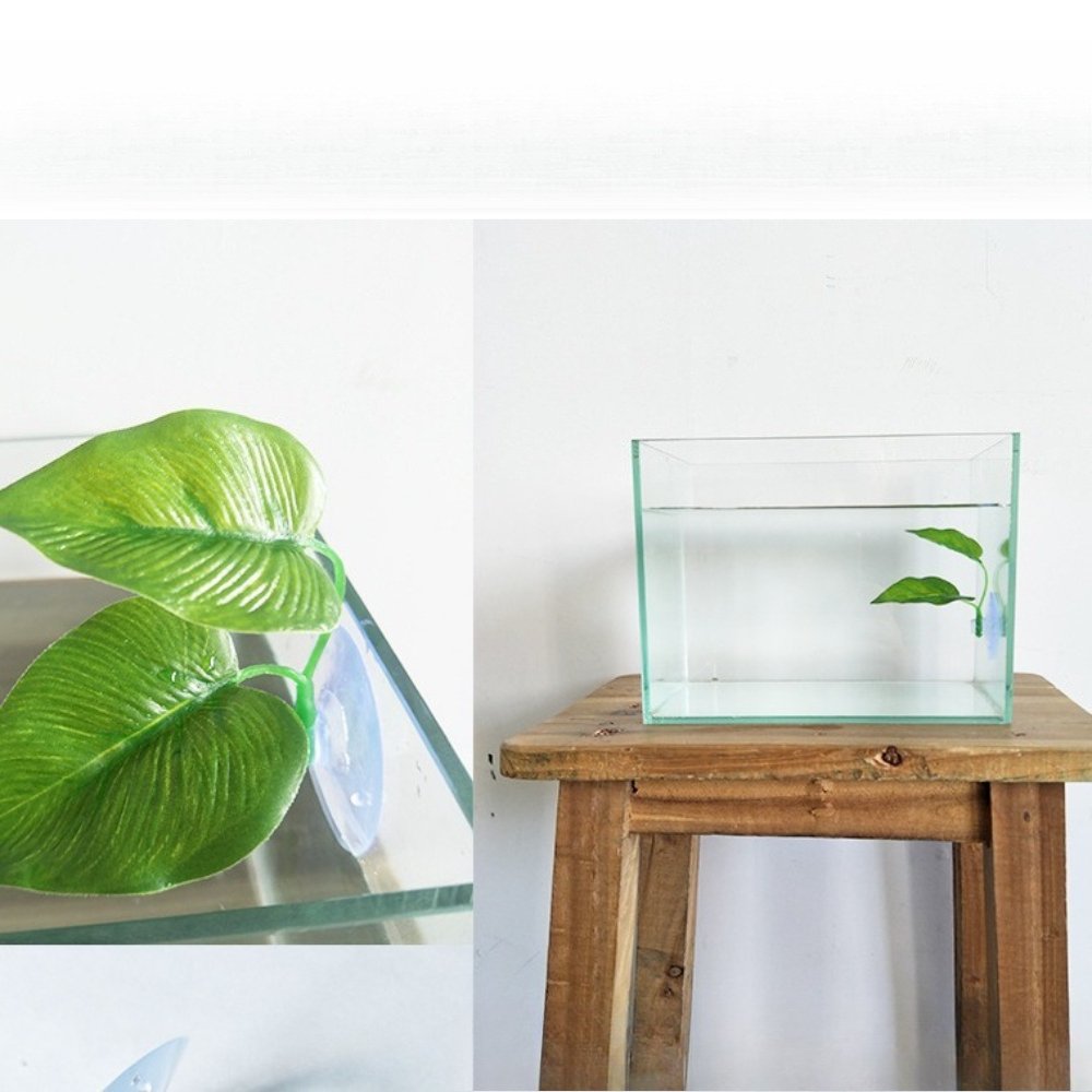 1/3/5/10 Betta Aquarium Artifi - đánh giá và giá Aquarium Planted Set Up