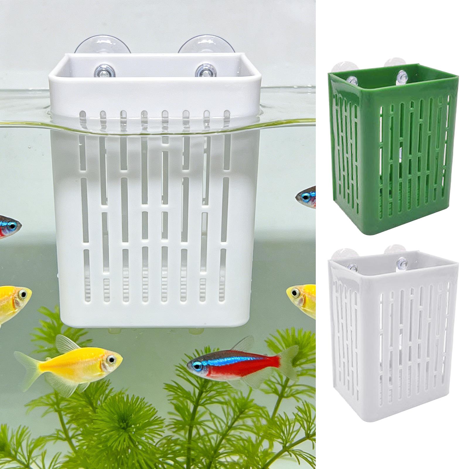 5pcs Aquarium Plant Holder Fis - đánh giá và giá Planted Aquarium Aquascape