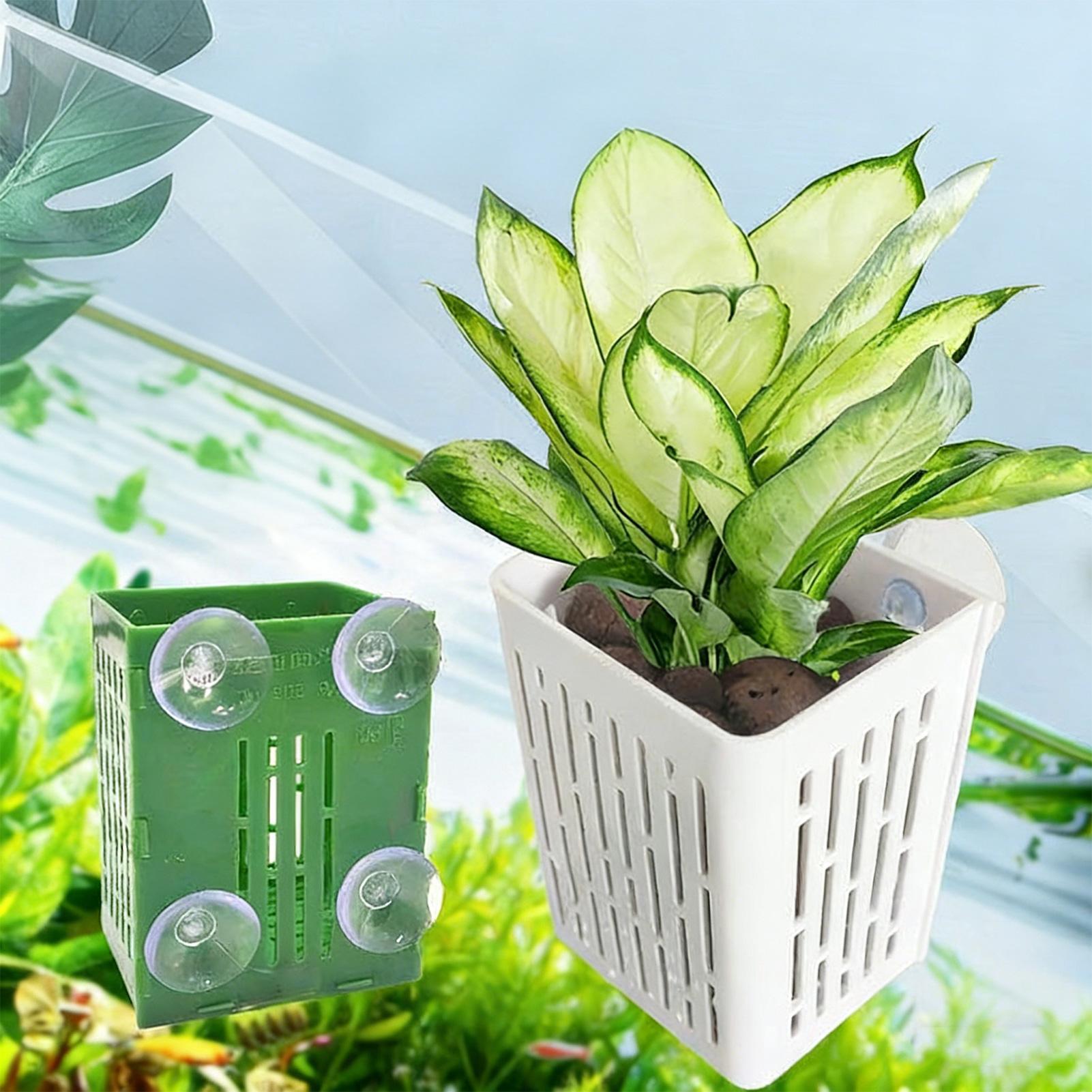 5pcs Aquarium Plant Holder Fis - đánh giá và giá Planted Aquarium Aquascape