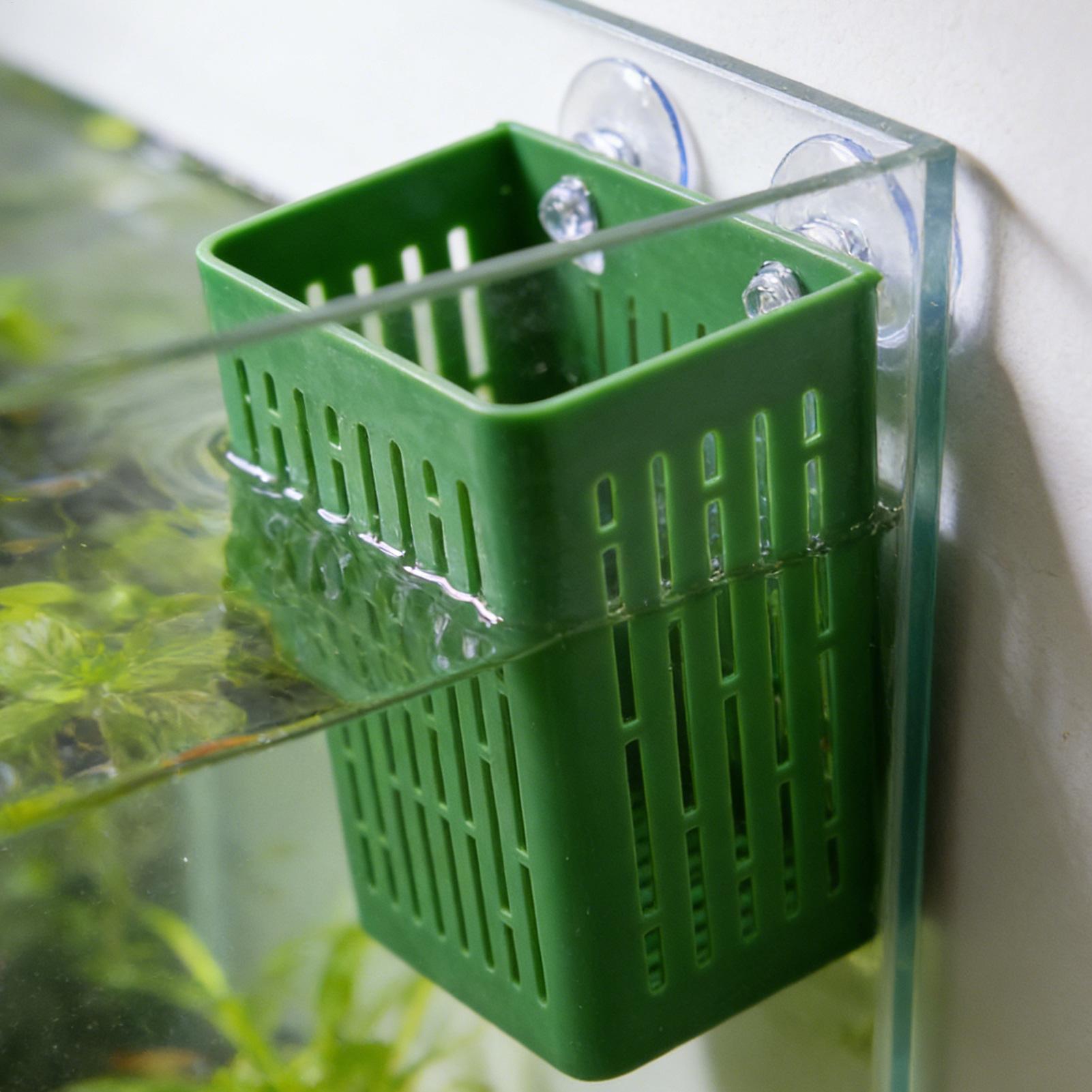 5pcs Aquarium Plant Holder Fis - đánh giá và giá Planted Aquarium Aquascape