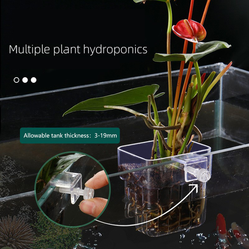 1Pc Aquarium Hydroponic Plant  - đánh giá và giá Aquarium Plant Seeds