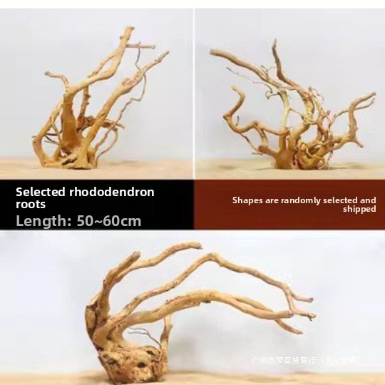 Natural Driftwood Branches For - đánh giá và giá Aquarium Planted Fish Tank
