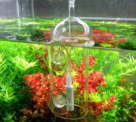 VIV Do Device Aquarium Cylinde - đánh giá và giá Planted Aquarium Equipment