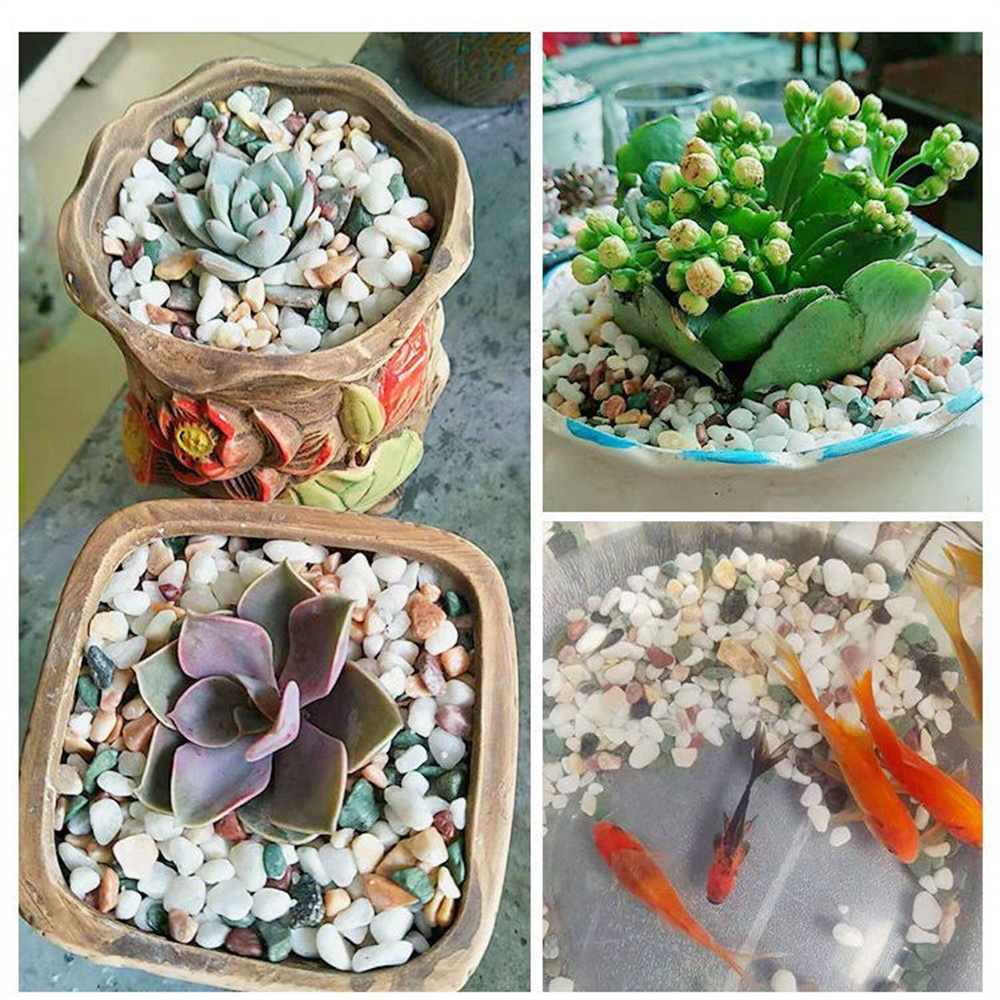 50/Tự Nhiên 100G Tinh Thể Sỏi  - đánh giá và giá Aquarium Planted Sand