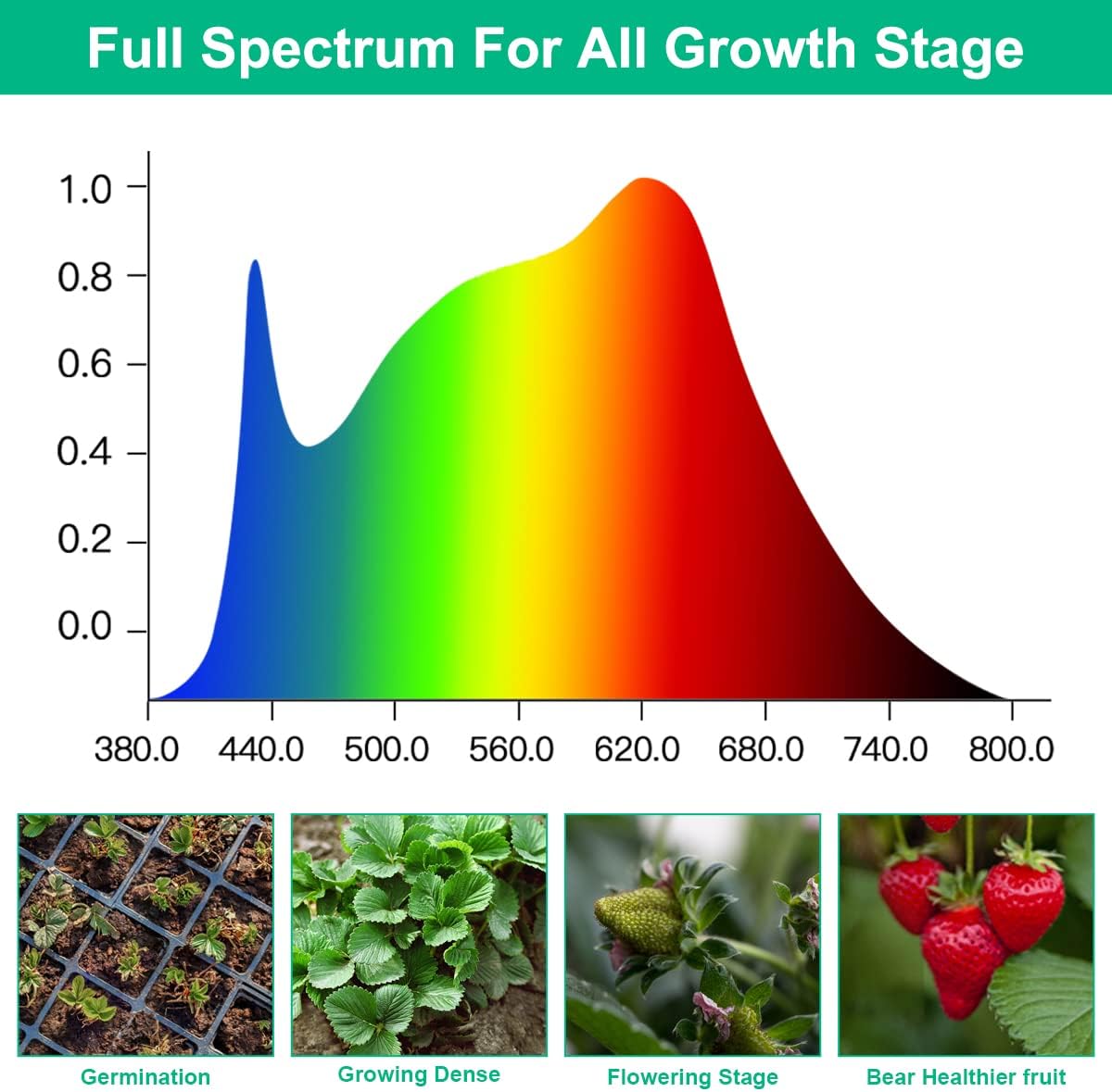 LED Grow Lamps Plant Full Spec - đánh giá và giá Aquarium Plant Seeds