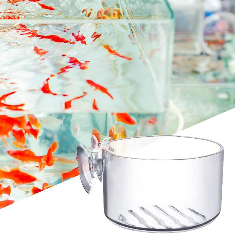 Aquarium Plant Pot Glass Cylin - đánh giá và giá Aquarium Plant Seeds