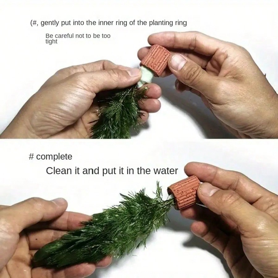 High   Quality Aquarium Plant  - đánh giá và giá Planted Aquarium Aquascape
