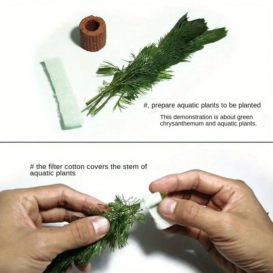 High   Quality Aquarium Plant  - đánh giá và giá Planted Aquarium Aquascape