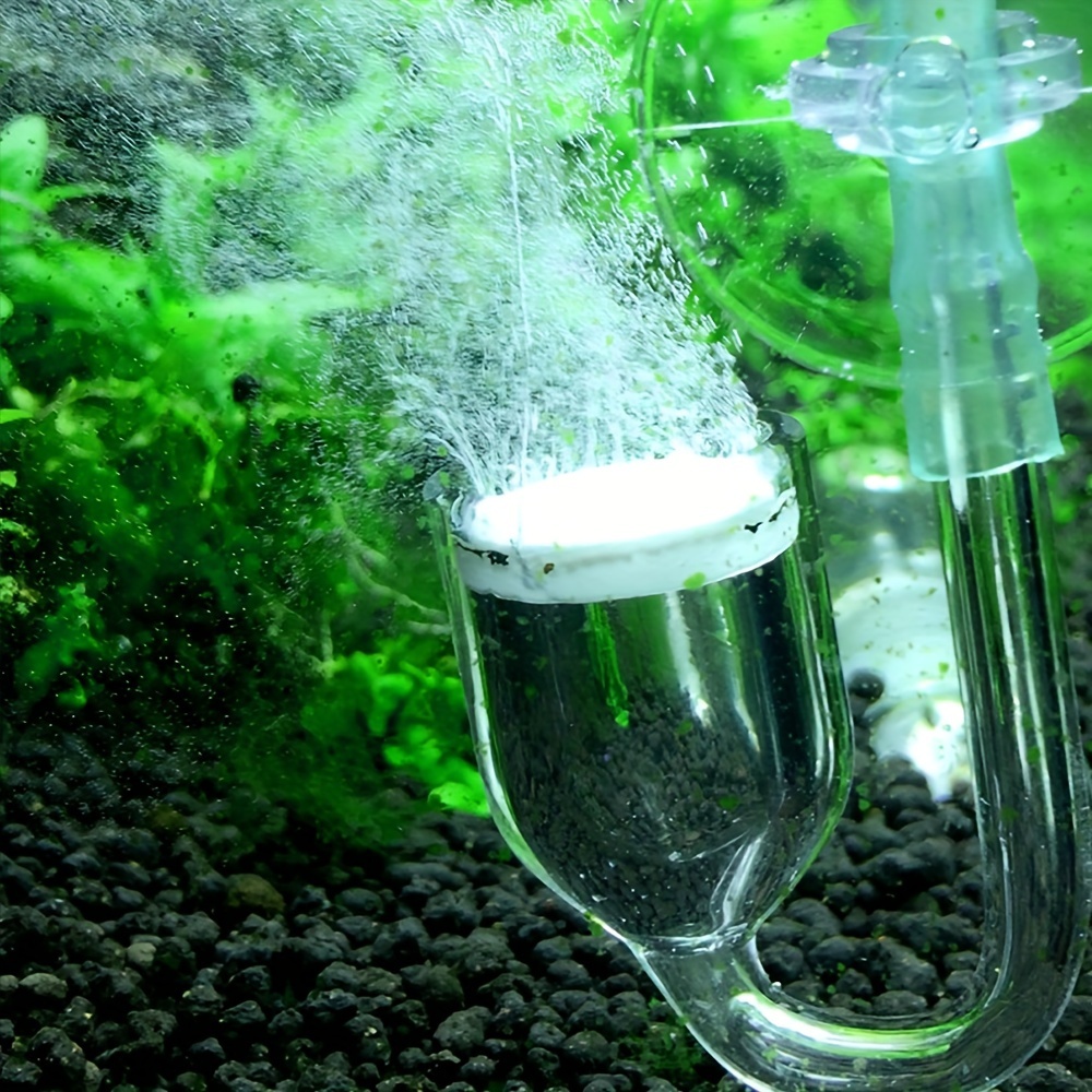 Aquarium Glass CO2 Atomizer Di - đánh giá và giá Planted Aquarium Equipment