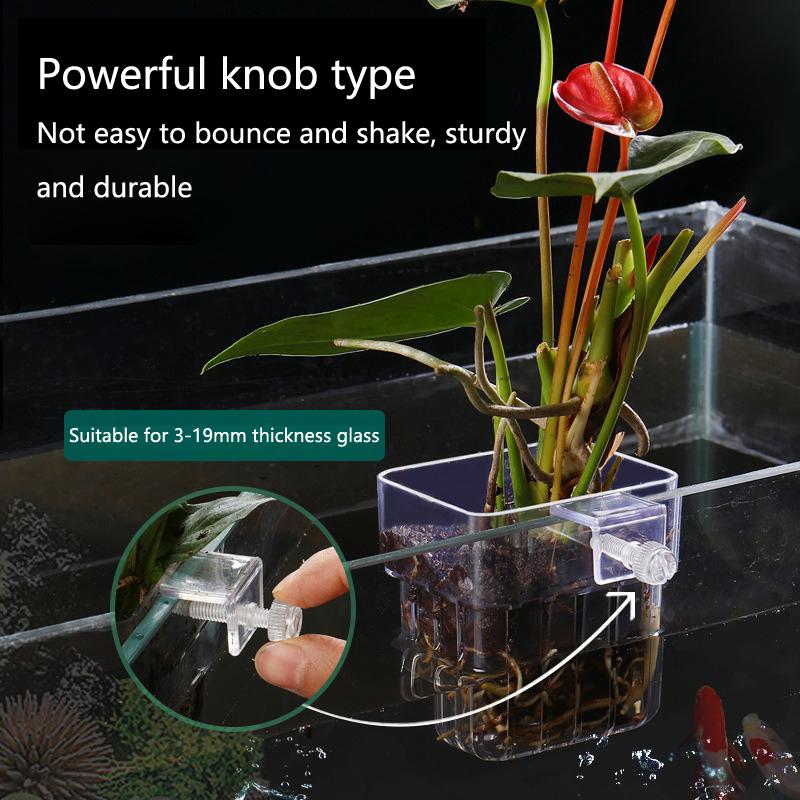 Aquarium Hydroponic Planting C - đánh giá và giá Aquarium Planted Set Up