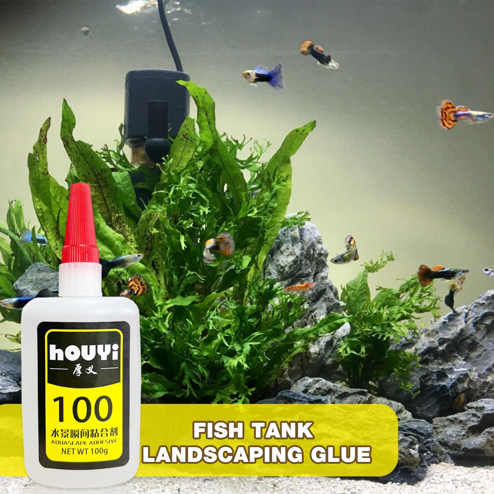 50/100g Clear Instant Glue Aqu - đánh giá và giá Aquarium Plant Original