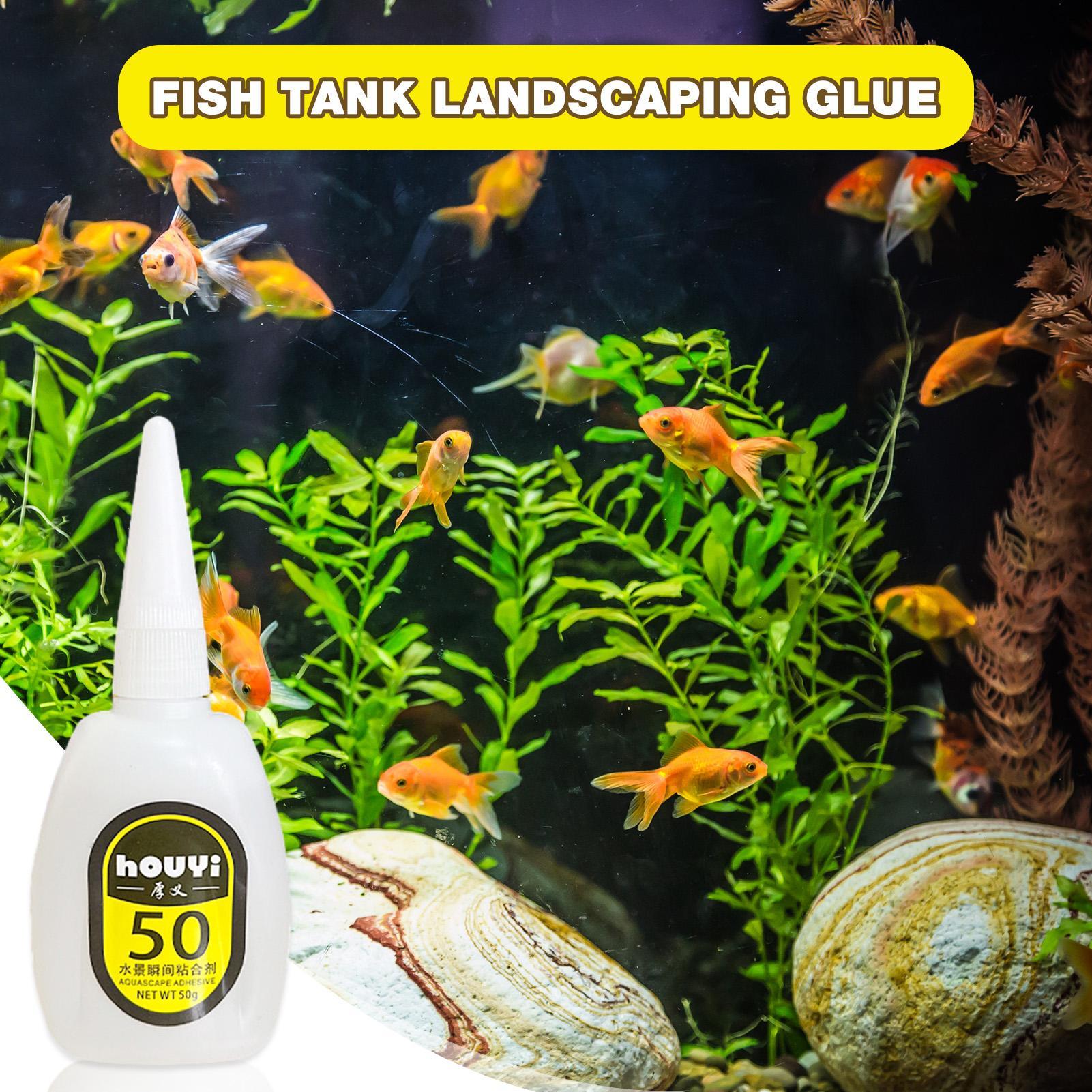 50/100g Clear Instant Glue Aqu - đánh giá và giá Aquarium Plant Original