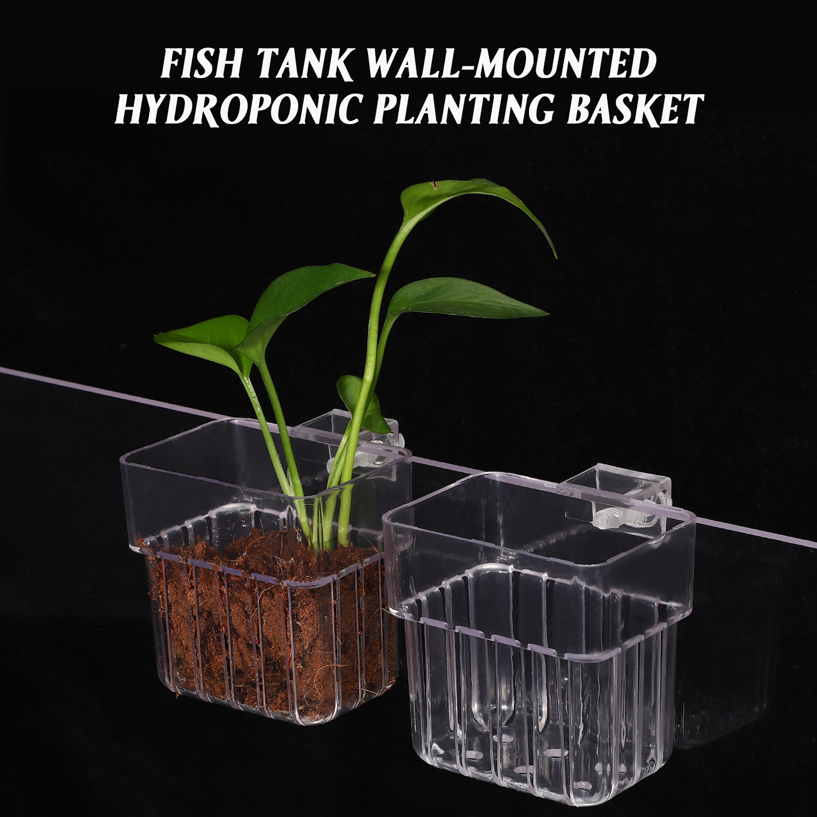 4Pcs Aquarium Plant Holders Cl - đánh giá và giá Aquarium Planted Set Up