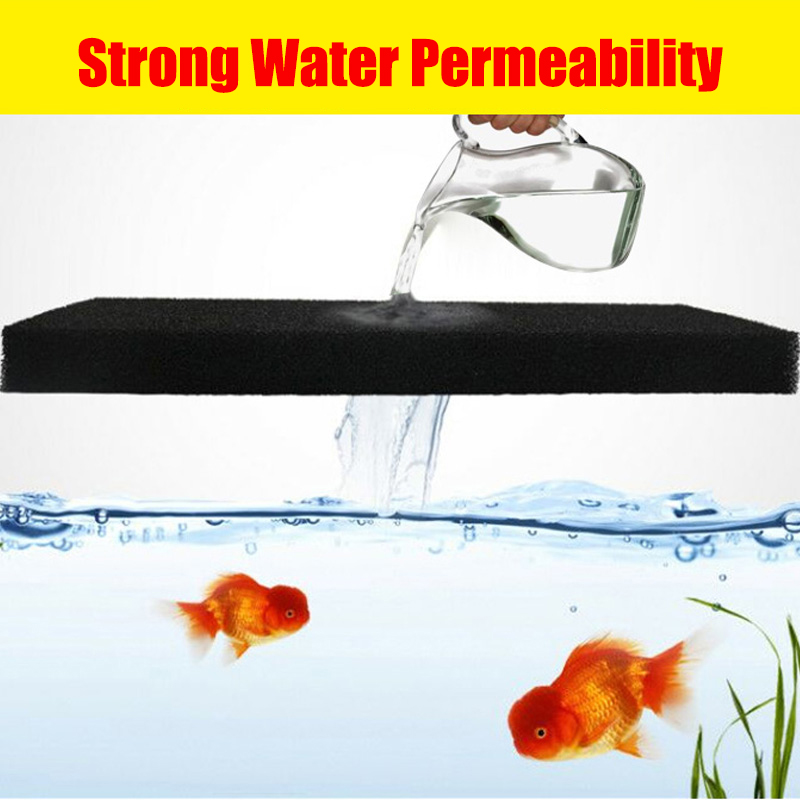 Bể Cá Cảnh Sinh Hóa Bông Lọc T - đánh giá và giá Aquarium Planted Filter