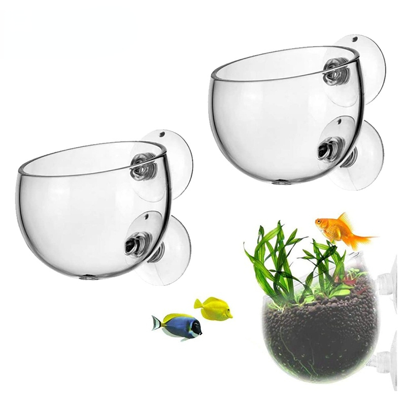 New Aquarium Plant Pot Glass C - đánh giá và giá Aquarium Plant Seeds