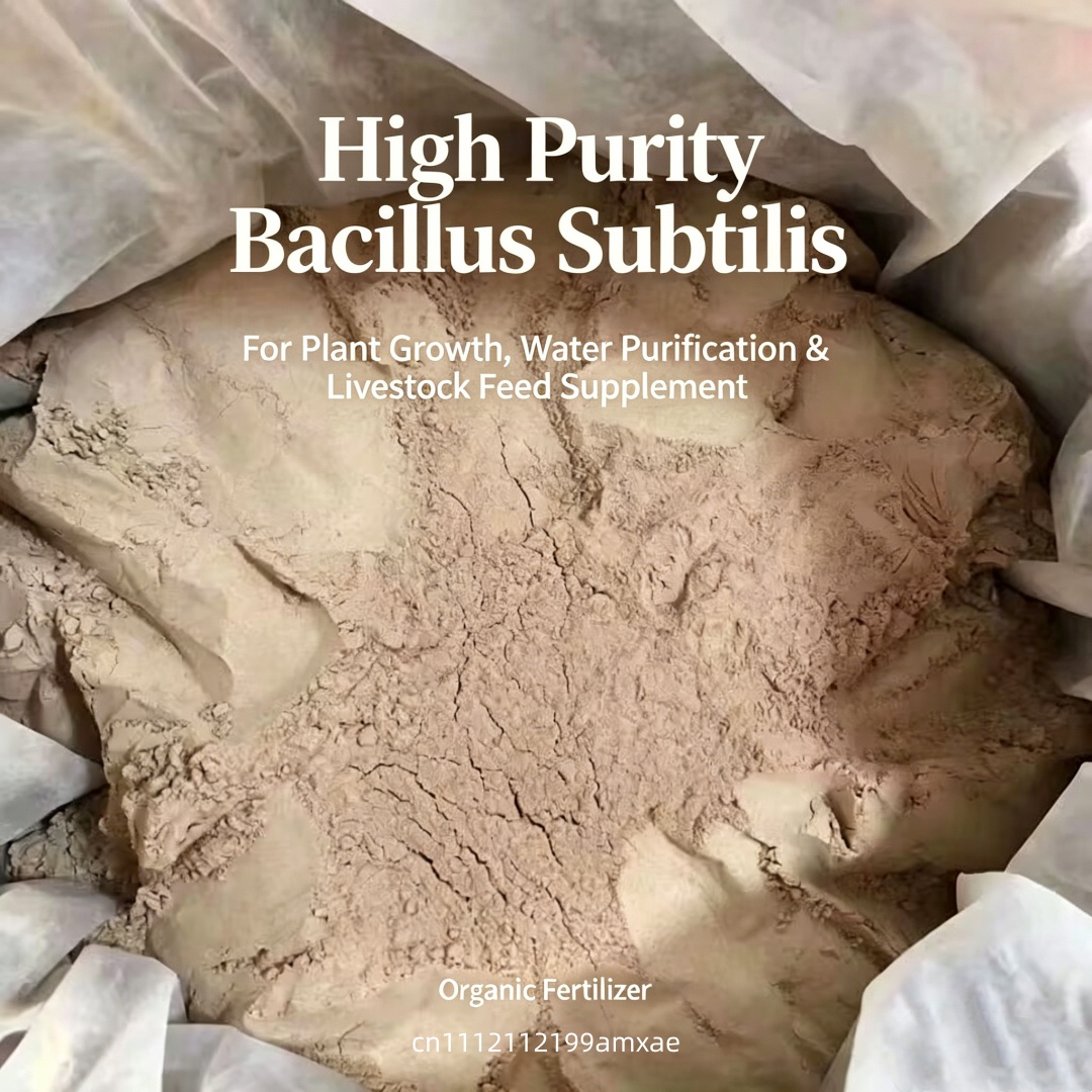 High Activity Bacillus Subtili - đánh giá và giá Aquarium Plant Fertilizer