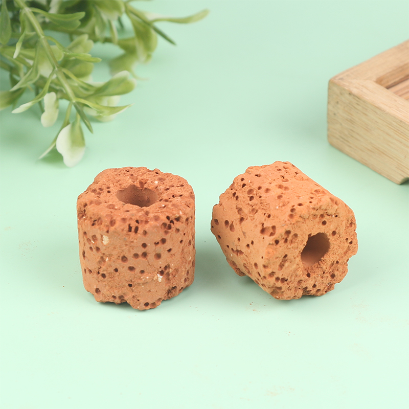 10Pcs Mini Aquatic Plant Ring  - đánh giá và giá Aquarium Planted Set Up