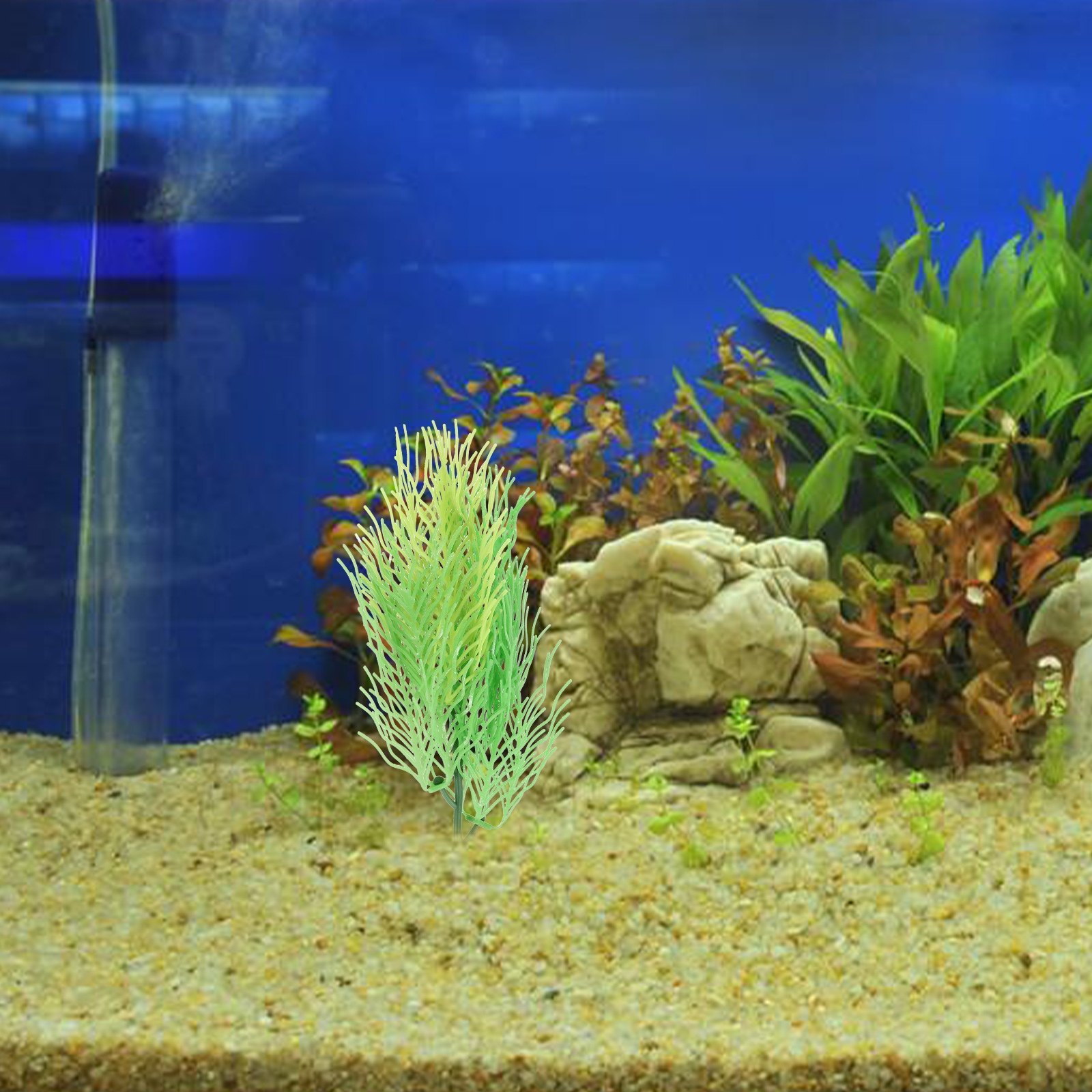 Simulated Hornwort Aquarium Pl - đánh giá và giá Aquarium Planted Set Up