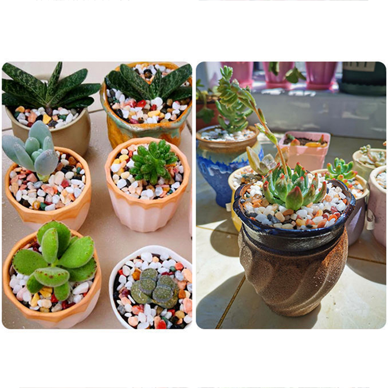 Fish Tank Bottom Sand DIY Acce - đánh giá và giá Aquarium Planted Sand