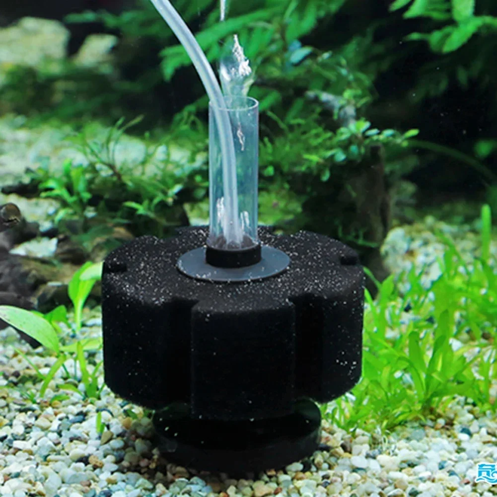 Aquarium Filter Sponge For Fis - đánh giá và giá Aquarium Planted Filter