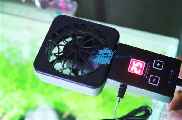 Mini nano clip treo trên quạt  - đánh giá và giá Planted Aquarium Equipment
