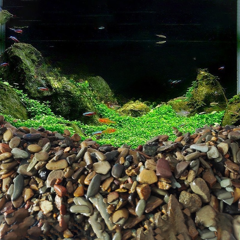 Stream Pebbles Aquarium Bottom - đánh giá và giá Aquarium Planted Sand