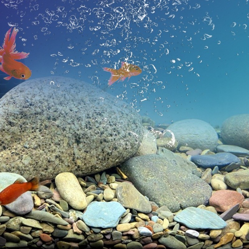 Stream Pebbles Aquarium Bottom - đánh giá và giá Aquarium Planted Sand