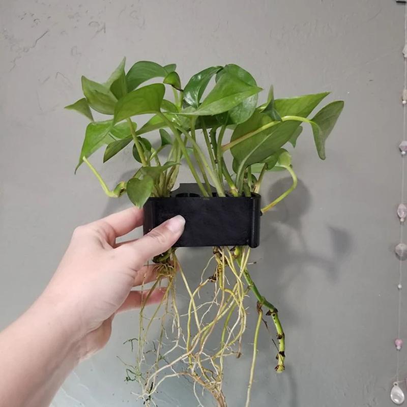 1 2 3Pcs Aquarium Plant Suppor - đánh giá và giá Aquarium Planted Set Up