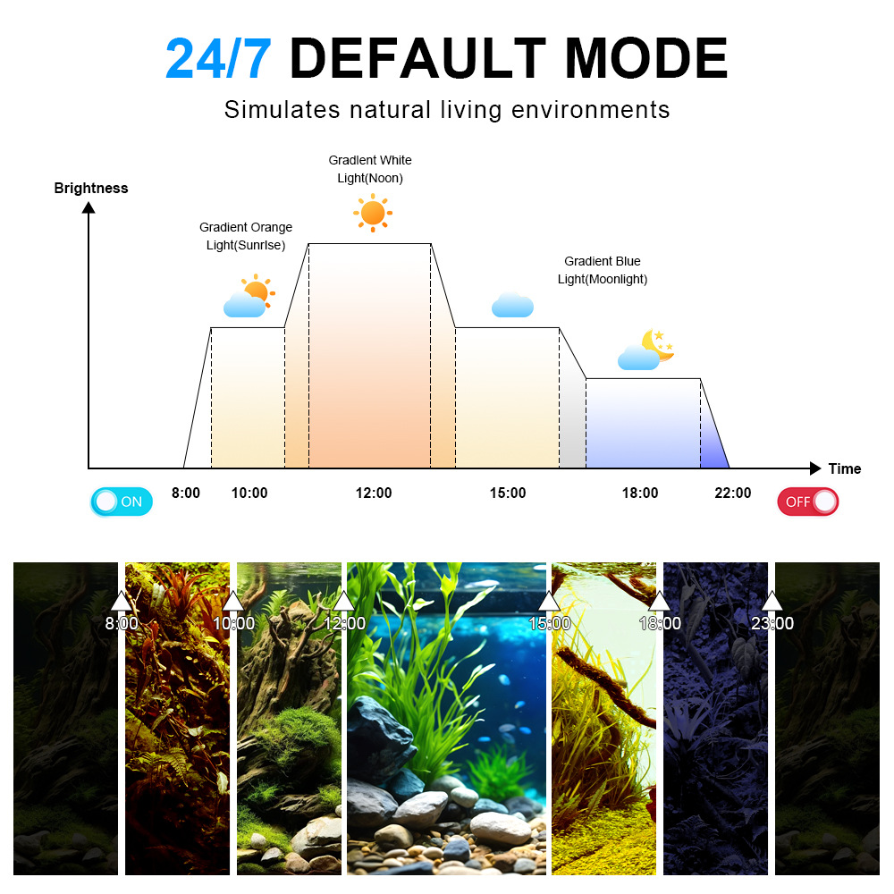 24/7 Light Cycle Fish Tank LED - đánh giá và giá Planted Aquarium Cycling