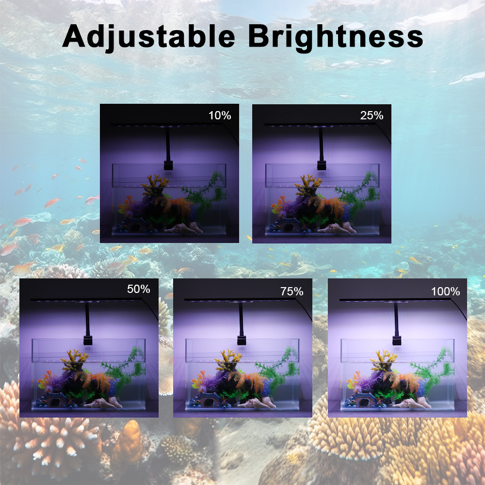 24/7 Light Cycle Fish Tank LED - đánh giá và giá Planted Aquarium Cycling