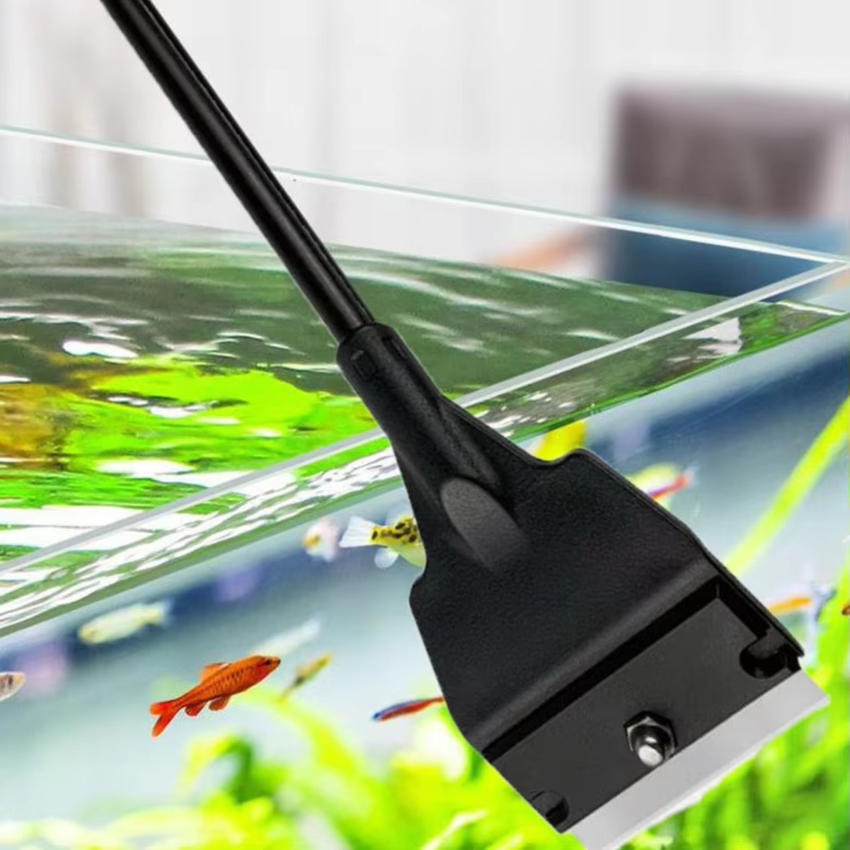 Fish Tank Glass Algae Scraper  - đánh giá và giá Aquarium Planted Sand