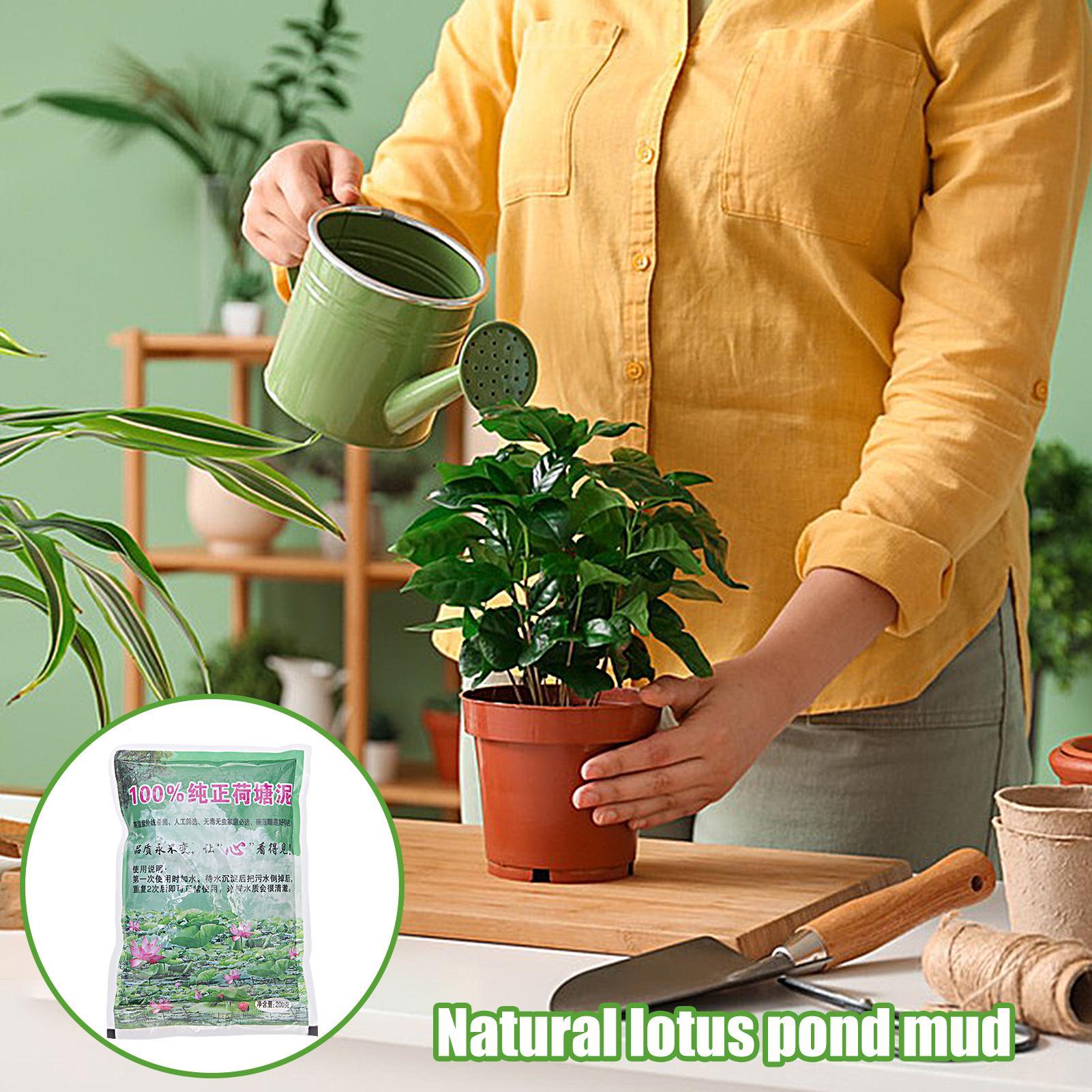 200g/bag Aquarium Soil Natural - đánh giá và giá Aquarium Plant Seeds